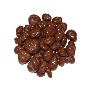 Arándano con Chocolate / 100g