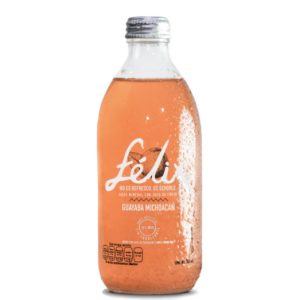 Schorle de Guayaba – 355 ml